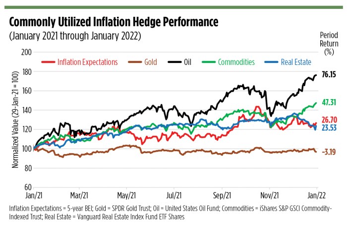 Inflation hedge currencies infographic